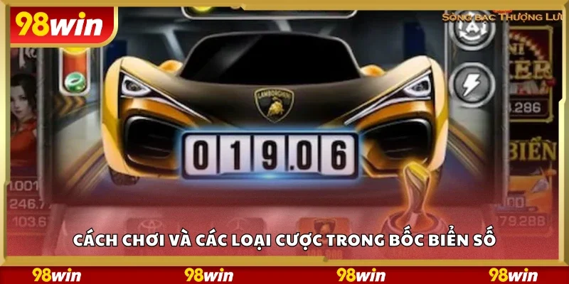 Cách chơi và các loại cược trong bốc biển số