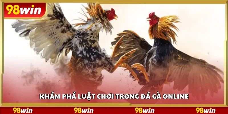 Khám phá luật chơi trong đá gà online